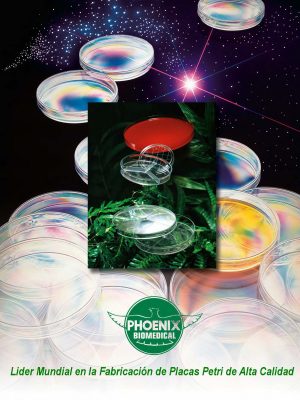 Phoenix Brochure (Spanish)